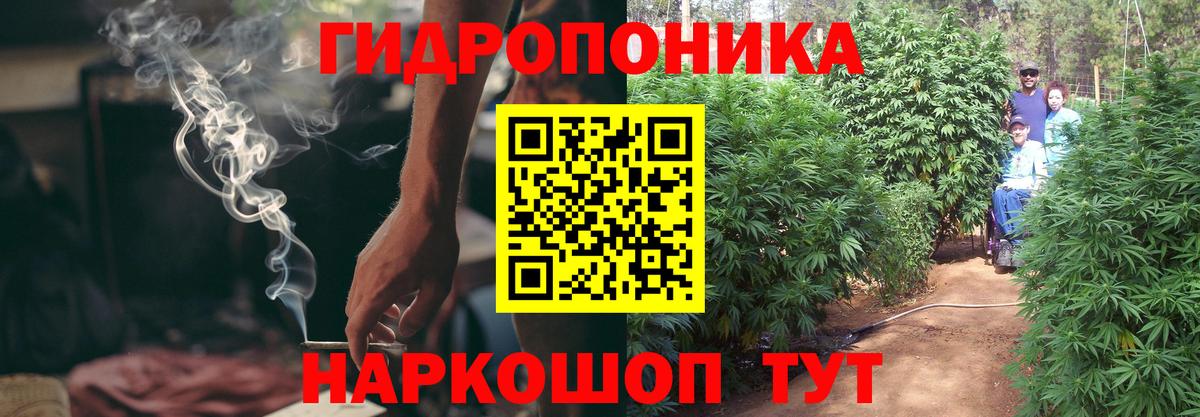 Бошки Шишки Bruce Banner  Конопля тримм  Бошки Шишки индика  Марихуана VHQ  Ковров  Вход с VPN 